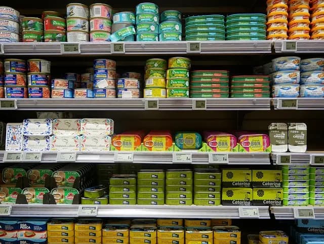 Les tendances à suivre pour un shopping en ligne réussi