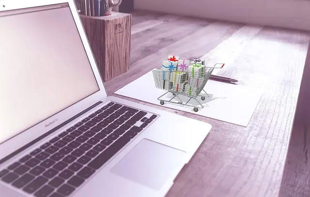 Comment choisir un bon site de shopping en ligne pour vos achats